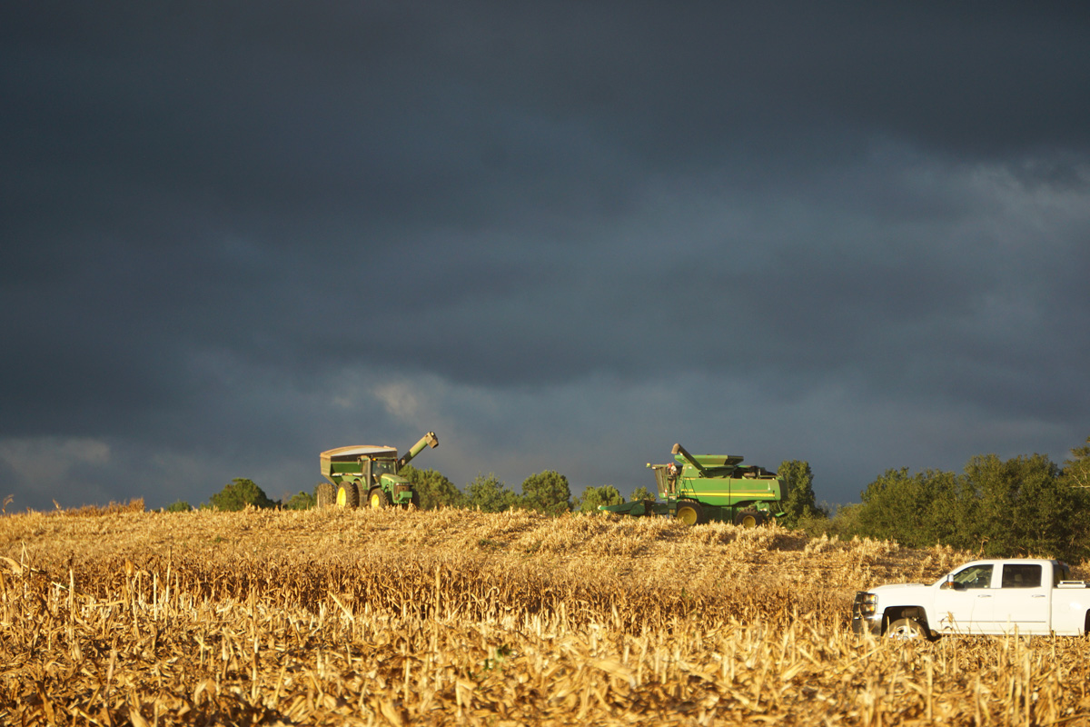 Combine at Moon Farms